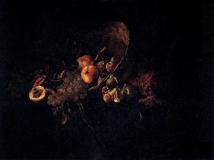 Still Life with Fruit, Aelst, Willem van